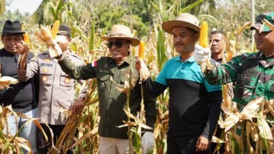 Kolaborasi Lintas Sektor Dorong Swasembada Pangan dan Pemberdayaan Petani Milenial di Tanah Datar