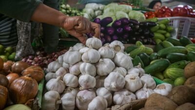 Harga Sejumlah Komoditas Pangan di Padang Panjang Turun, Cabai Merah dan Hijau Justru Naik
