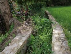 Miris, Irigasi di Barulak Lima Tahun Putus Tanpa Ada Perhatian Dari Pemda