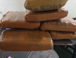 AVSEC Bandara Minangkabau Bongkar Kiriman Ganja 7 Kg Lewat J&T, Rencana Dikirim ke Jakarta!