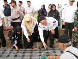 Nagari Cubadak Bertekat Menjadi Sentra Bawang Merah, Wabup Ahmad Fadly Tanam Bibit