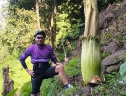 Surga Tersembunyi di Agam: Pesona Air Terjun Sarasah Paraman Talang dan Bunga Bangkai Langka