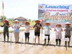 Pemkab Tanah Datar Luncurkan Program Unggulan Babendi, Ringankan Beban Biaya Petani