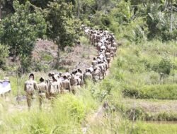 142 Praja IPDN Sumatera Barat Ikuti “Jalan Juang, Kemah Juang, dan Tanam Pohon” di Tanah Datar