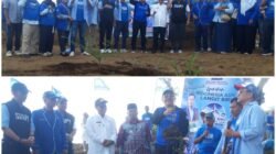 DPC Demokrat Tanah Datar Tanam Seribu Pohon di Batu Badinding, Gaungkan “Indonesia Asri, Langit Biru”