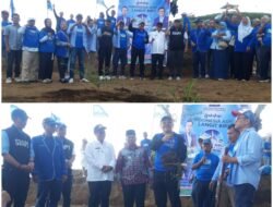 DPC Demokrat Tanah Datar Tanam Seribu Pohon di Batu Badinding, Gaungkan “Indonesia Asri, Langit Biru”