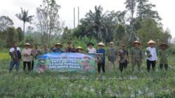 Panen Raya Bawang Merah Jadi Langkah Nyata Tekan Inflasi di Tanah Datar