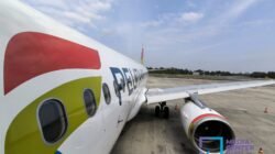 Penerbangan dari Pekanbaru ke Jakarta dan Yogyakarta Kembali Normal