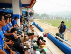 Pacu Kuda Bupati Cup 2026, Lestarikan Tradisi Minangkabau dan Gerakkan Ekonomi Masyarakat